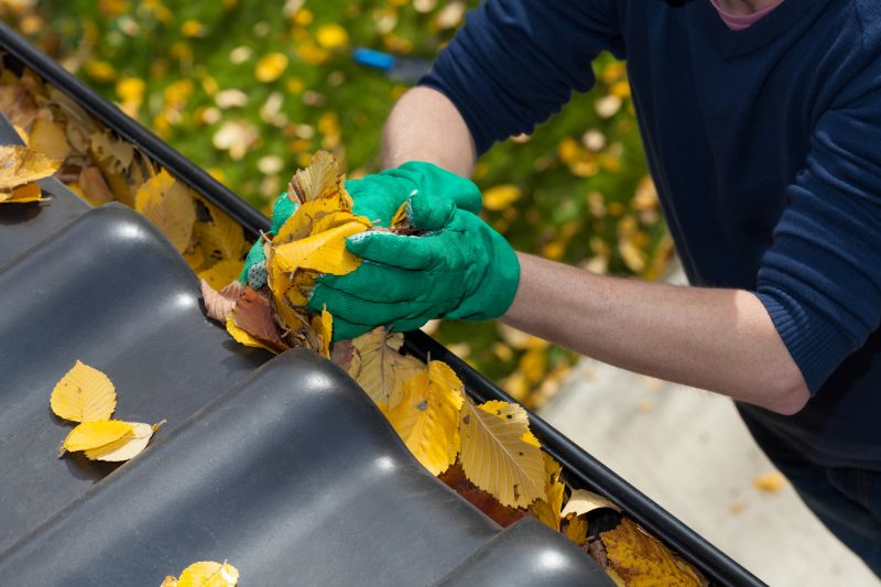 Commercial Downspout Cleaning in Littleton, CO