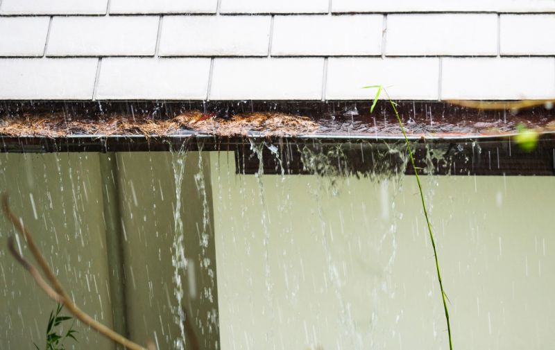 Downspout Blockage Removal in Long Island, NY