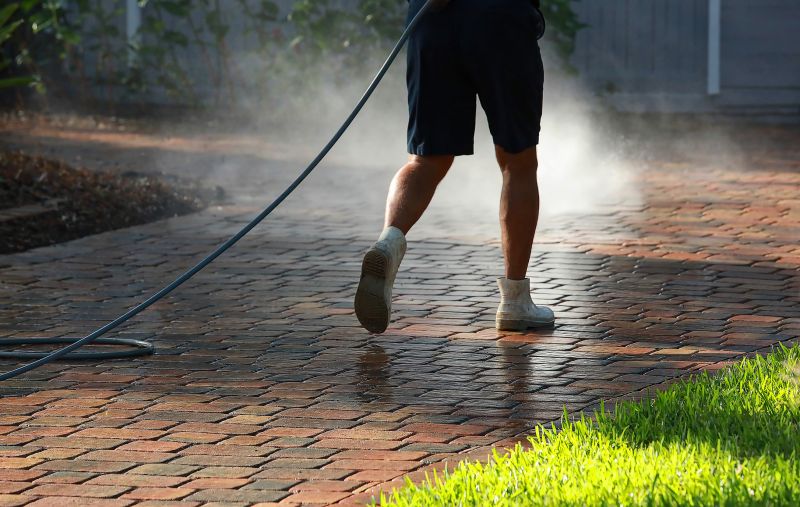 Paver Cleaning