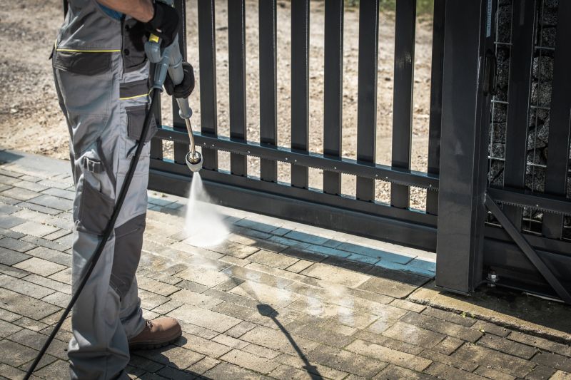 Paver Cleaning