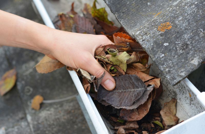 Commercial Gutter Cleaning in Denver, CO