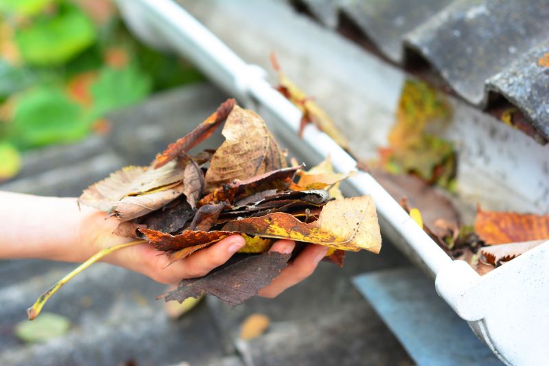 Commercial Gutter Maintenance in Denver County, CO