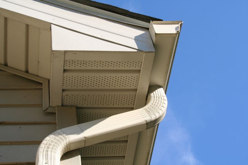 Downspout Blockage Removal in Rochester, NY