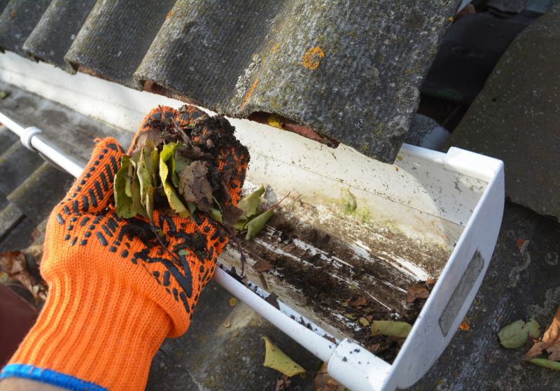 Gutter Maintenance in Monmouth County, NJ