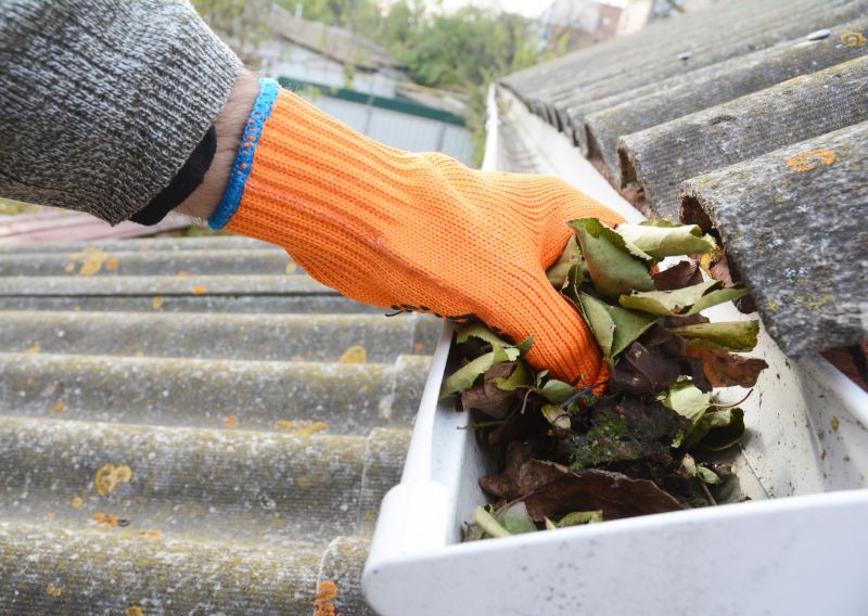 Gutter Pine Needle Removal in Pittsburgh, PA