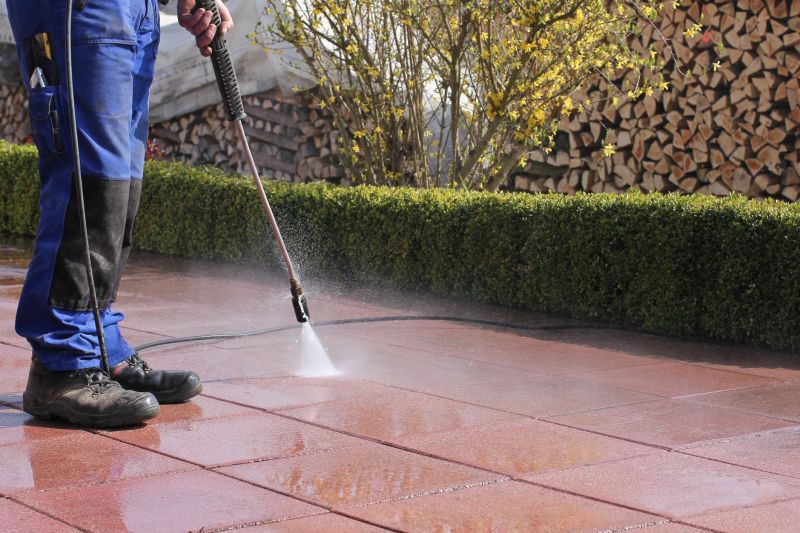 Paver Cleaning