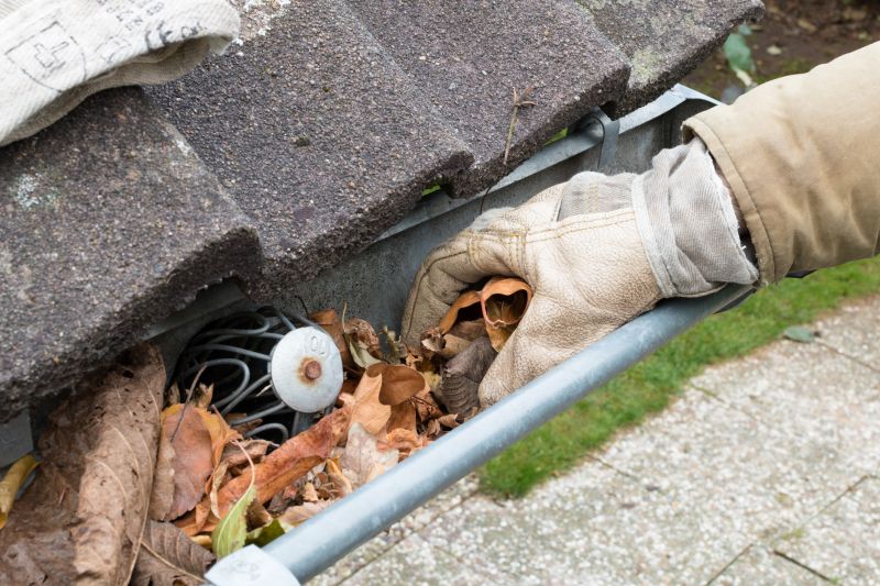 Rain Gutter Clearing in Longmont, CO