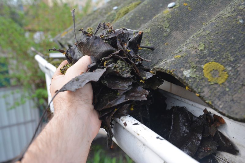Roof Gutter Cleaning in Longmont, CO