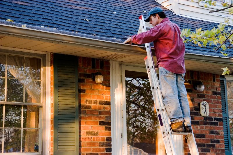 Roof Gutter Cleaning in Fredericksburg, VA